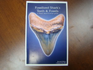 Fossilized Shark's Teeth & Fossils Identification Guide