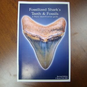 Fossilized Shark's Teeth & Fossils Identification Guide