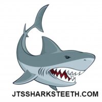 sharksteeth.com