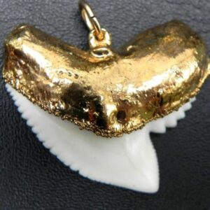 Gold Plated Tiger Shark Pendants