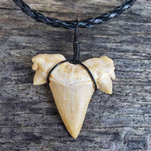 Black Braided OTODUS Shark Tooth Necklace
