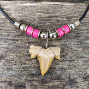 Shark Tooth Necklace with 4 Pink Ceramic Beads