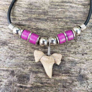 Shark Tooth Necklace with 4 Ceramic Purple Beads