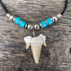 Shark Tooth Necklace with 4 Ceramic Turquoise Beads