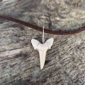 Shark Tooth Necklace with Brown Suede Cord