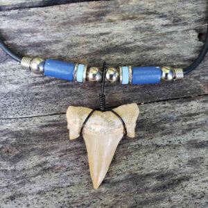 Black Wire Wrapped Shark Tooth Necklace - Blue Bead