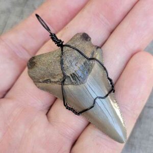 Black Wire Wrapped Pendant