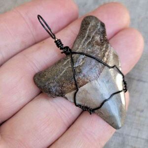 Black Wire Wrapped Pendant