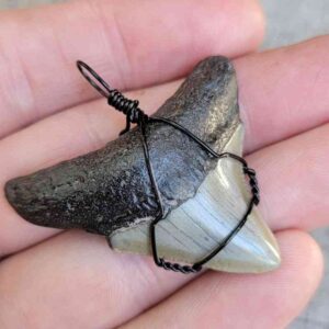 Black Wire Wrapped Pendant