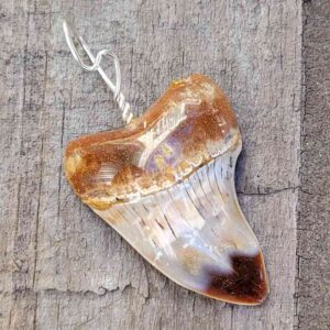 Bakersfield Megalodon Pendant