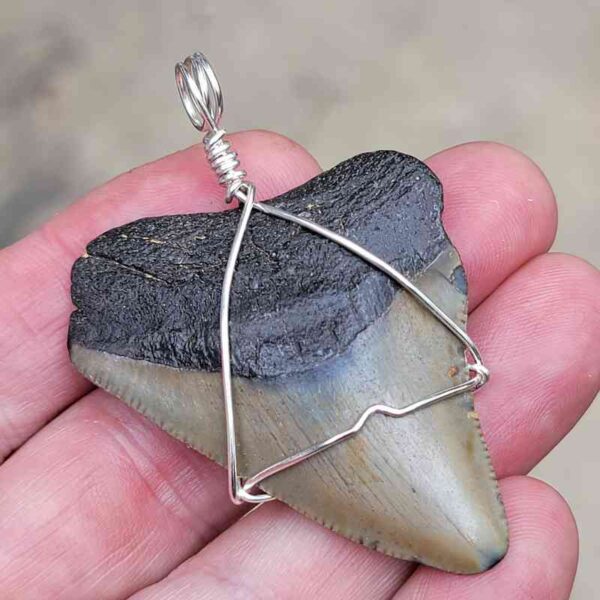 Megalodon Craft Wire Pendant