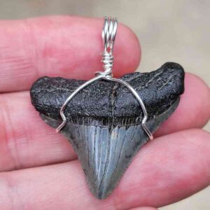 Megalodon Craft Wire Pendant