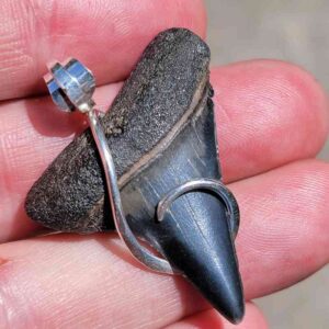 Hook Wrapped Extinct Great White Pendant