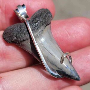 Hook Wrapped Extinct Great White Pendant