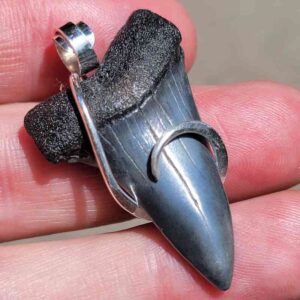 Hook Wrapped Extinct Great White Pendant