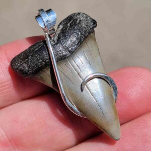 Hook Wrapped Extinct Great White Pendant