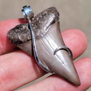 Hook Wrapped Extinct Great White Pendant