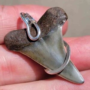 Hook Wrapped Extinct Great White Pendant