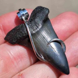 Hook Wrapped Extinct Great White Pendant