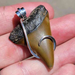 Hook Wrapped Extinct Great White Pendant