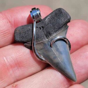 Hook Wrapped Extinct Great White Pendant