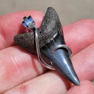 Hook Wrapped Extinct Great White Pendant