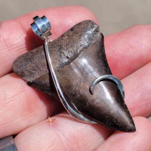 Hook Wrapped Extinct Great White Pendant