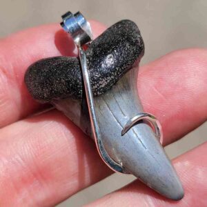 Hook Wrapped Extinct Great White Pendant
