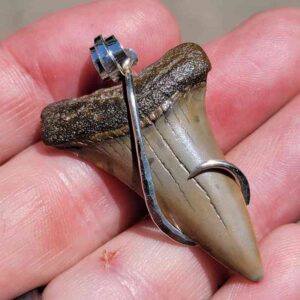 Hook Wrapped Extinct Great White Pendant