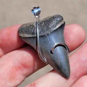 Hook Wrapped Extinct Great White Pendant