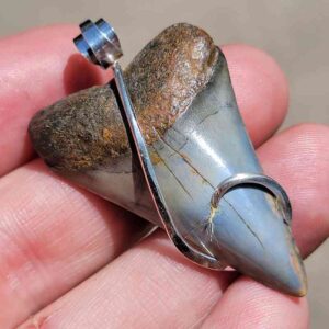 Hook Wrapped Extinct Great White Pendant