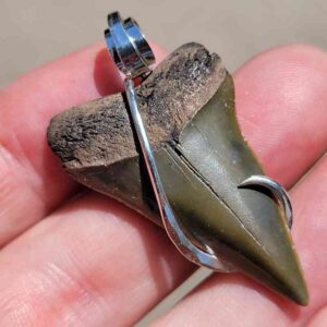 Hook Wrapped Extinct Great White Pendant