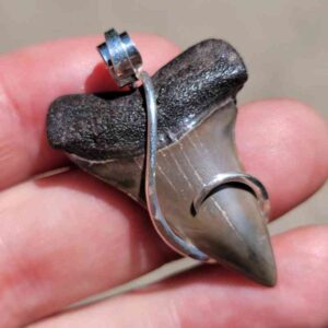 Hook Wrapped Extinct Great White Pendant