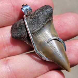 Hook Wrapped Extinct Great White Pendant