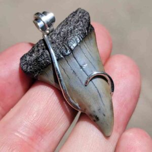 Hook Wrapped Extinct Great White Pendant