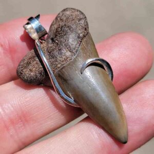 Hook Wrapped Extinct Great White Pendant