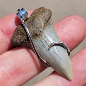Hook Wrapped Extinct Great White Pendant