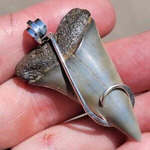 Hook Wrapped Extinct Great White Pendant