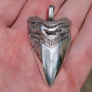 Silver Megalodon Tooth Pendant