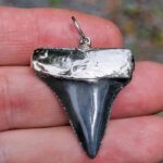 Nickel Plated Fossil Great White Pendant