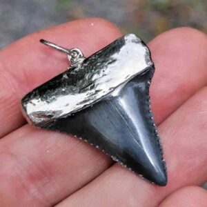 Nickel Plated Fossil Great White Pendant