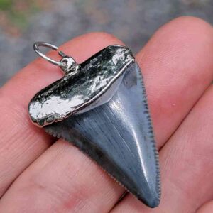 Nickel Plated Fossil Great White Pendant