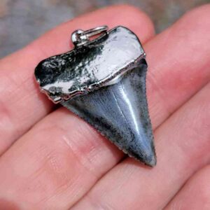 Nickel Plated Fossil Great White Pendant