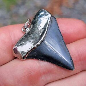 Nickel Plated Fossil Great White Pendant