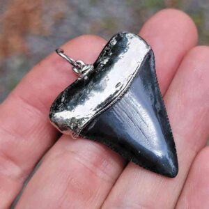 Nickel Plated Fossil Great White Pendant