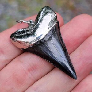 Nickel Plated Fossil Great White Pendant
