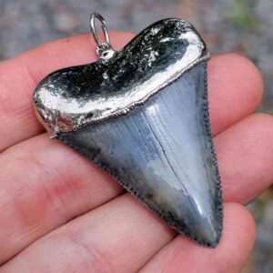 Nickel Plated Fossil Great White Pendant