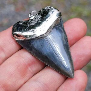 Nickel Plated Fossil Great White Pendant