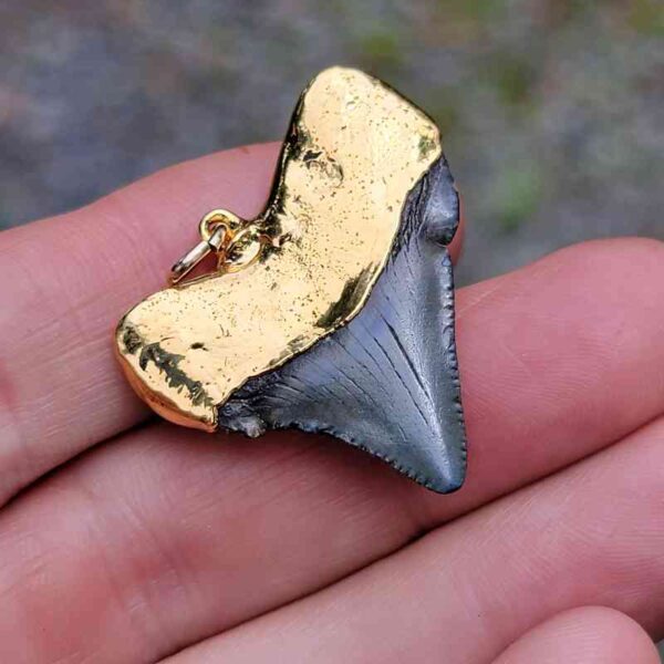 Gold Plated Megalodon Tooth Pendant