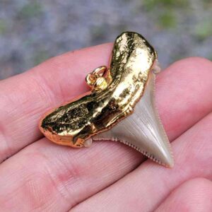 Gold Plated Megalodon Tooth Pendant